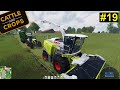 Professional Farmer: Cattle and Crops - und wieder wird gehäckselt #19 - Deutsch/German