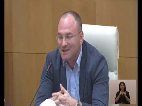 ირაკლი ბერაიას განცხადება პარლამენტის პლენარულ სხდომაზე