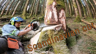 Logging in Norway ep.3