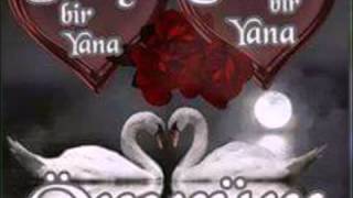 Sevecekse insan candan sevmeli - ♡♡♡YELDAM♡♡♡