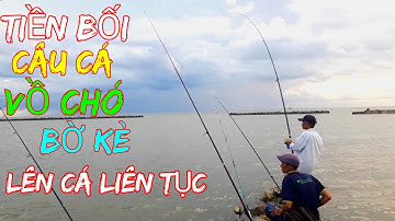 CÙNG TIỀN BỐI ĐI CÂU CÁ VỒ CHÓ/ CÁ VỒ BIỂN CỬA BIỂN HÒN ĐÁ BẠC @giangngofising