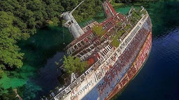 Look Beyond Empathy and Psychological Revenue