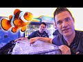 Everything you need to start your first reef aquarium and more