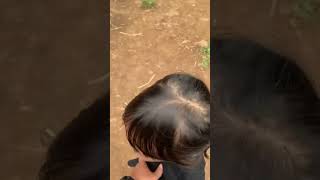 Gia Is Still Shy When Feeding The Fawn