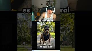ESPANTO QUE NO PASE NADA 🐶