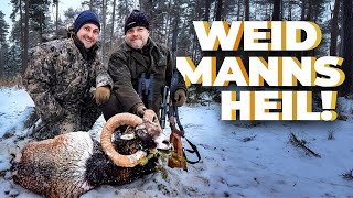 Jagd Auf Muffel Mufflon - Sein Erster Widder