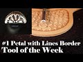 Petal With Lines Border Stamp - Tool of the Week