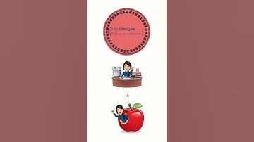 Why My Employee Wellness Programs