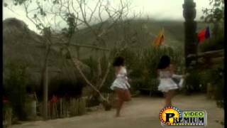 VIDEO - LOCOS - EL SAPITO PELUDO - LOS HERMANOS CARRION - FLV
