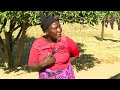 Chegutu Mukadzi Akabhadhara Vanhu 200 Kuti Vatyore Makumbo Emurume Wake Asi Vakabva Vamuponda Akafa Chegutu Mukadzi Akabhadhara Vanhu 200 Kuti Vatyore Makumbo Emurume Wake Asi Vakabva Vamuponda Akafa