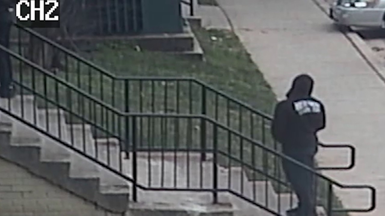 Persons of Interest in Destruction of Property, 3000 b/o Stanton Rd, SE, on March 13, 2017 videos for cats