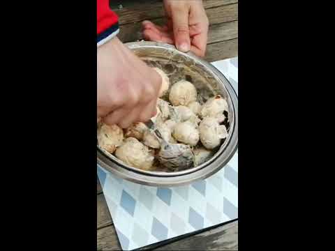 Как вкусно приготовить ШАМПИНЬОНЫ? Грибы в Духовке, на Мангале, Рецепт ...