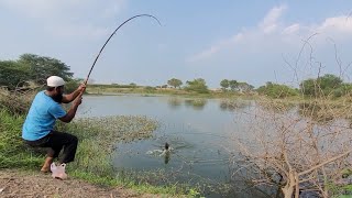 Best Hook Fishing in Deep ponds|Fisher Man Catching in Big Tilapiafishes|amazing fishing in Village|