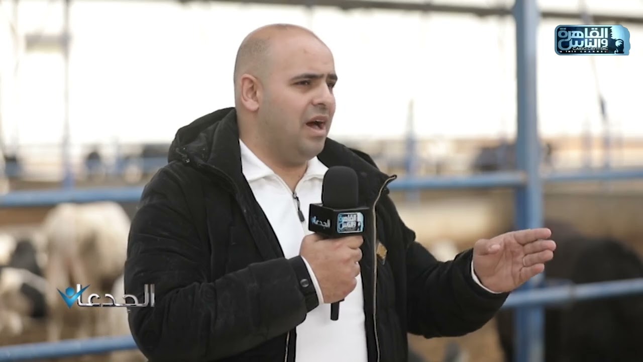 حسين الطلخاوي: نعمل على تركيبة علفية ثابتة ومتوازنة لضمان انتاج أجود انواع اللحوم