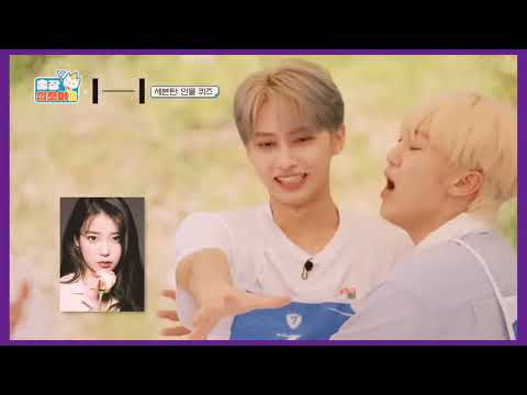 Seventeen's JUN mentioned IU