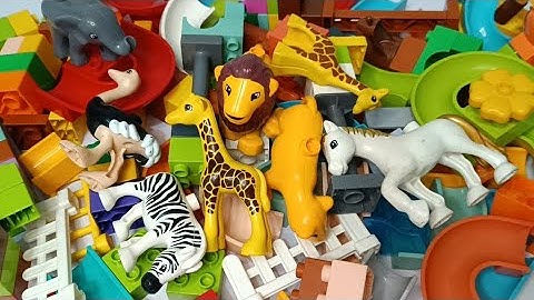 Satisfying Building Blocks Marble Run ASMR block coaster Funnel and many animals course