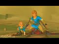 Link x Zelda Edit || Doughnut