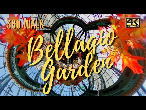 Видео: Беллагио консерваторийн гарын авлага & Ботаникийн цэцэрлэг