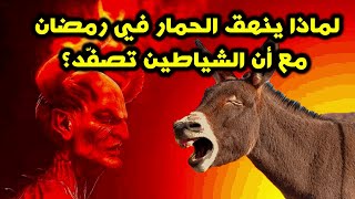 لماذا ينهق الحمار في رمضان، مع أن الشياطين تصفّد؟