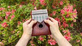 'Nessun Dorma' - by Giacomo Puccini - (kalimba cover) by Jeff Williams 353 views 1 month ago 1 minute, 20 seconds