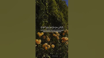تلاوة من سورة الأحزاب (إن الله وملائكته يصلون على النبي) | القارئ ناصر القطامي | Surah Al-Ahzab - 56