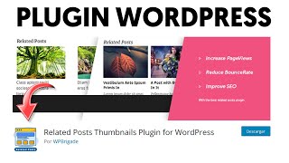 ➡️ Plugin GRATIS para ENTRADAS RELACIONADAS ➜ Related Post Thumbnail Plugin for WordPress