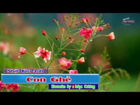 Karaoke. Con ghẻ [ Nhật Kim Anh] - YouTube