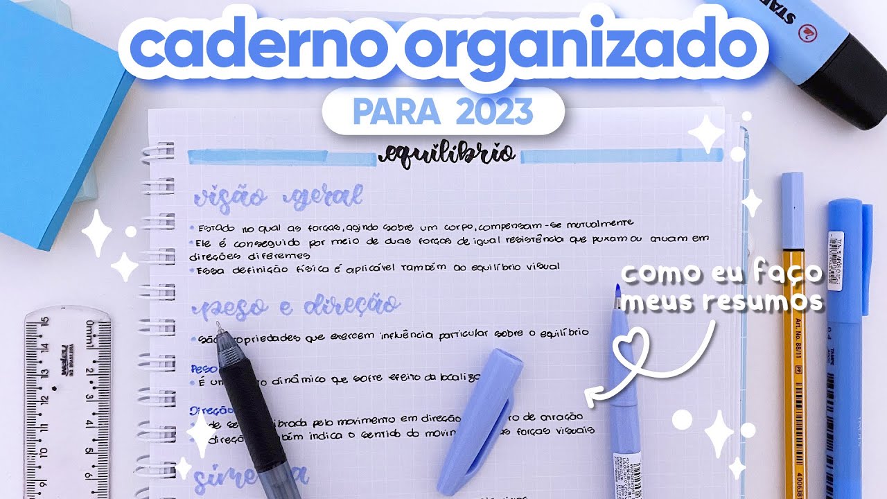 COMO EU FAÇO MEUS RESUMOS ✏️✨ | Caderno organizado em 2023