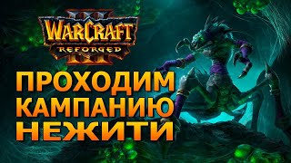 Проходим кампанию Нежити в "Warcraft 3: Reforged"
