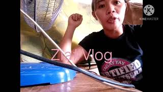 Product review  dr carica papaya