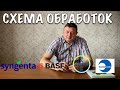 СПАСИТЕ СВОЙ ВИНОГРАДНИК ОТ БОЛЕЗНЕЙ! СХЕМА ОБРАБОТКИ ВИНОГРАДНИКА ОТ БОЛЕЗНЕЙ И ВРЕДИТЕЛЕЙ