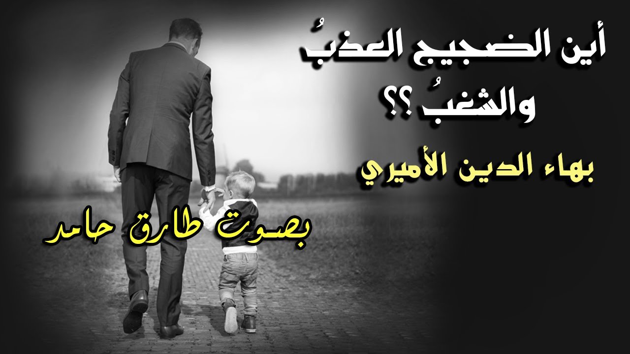 أين الضجيج العذبُ والشغبُ- بهاء الدين الأميري | بصوت طارق حامد