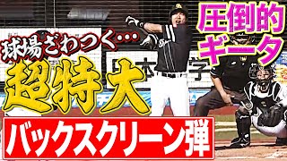 【会心のギータ】柳田悠岐『超特大・衝撃バックスクリーン弾』に球場ざわつく