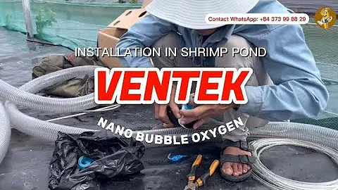 | 𝐀𝐐𝐔𝐀 𝐌𝐈𝐍𝐀 | 𝐕𝐄𝐍𝐓𝐄𝐊 𝐍𝐀𝐍𝐎 𝐁𝐔𝐁𝐁𝐋𝐄 𝐎𝐗𝐘𝐆𝐄𝐍 𝐈𝐍𝐒𝐓𝐀𝐋𝐋𝐀𝐓𝐈𝐎𝐍 𝐈𝐍 𝐋𝐈𝐍𝐄𝐃 𝐒𝐇𝐑𝐈𝐌𝐏 𝐏𝐎𝐍𝐃 |