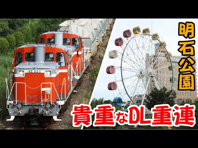 貴重なDL重連、白ホキ貨物を撮る 【5570レ】 - YouTube