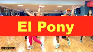 EL Pony | Daddy Yankee | By Georgia
