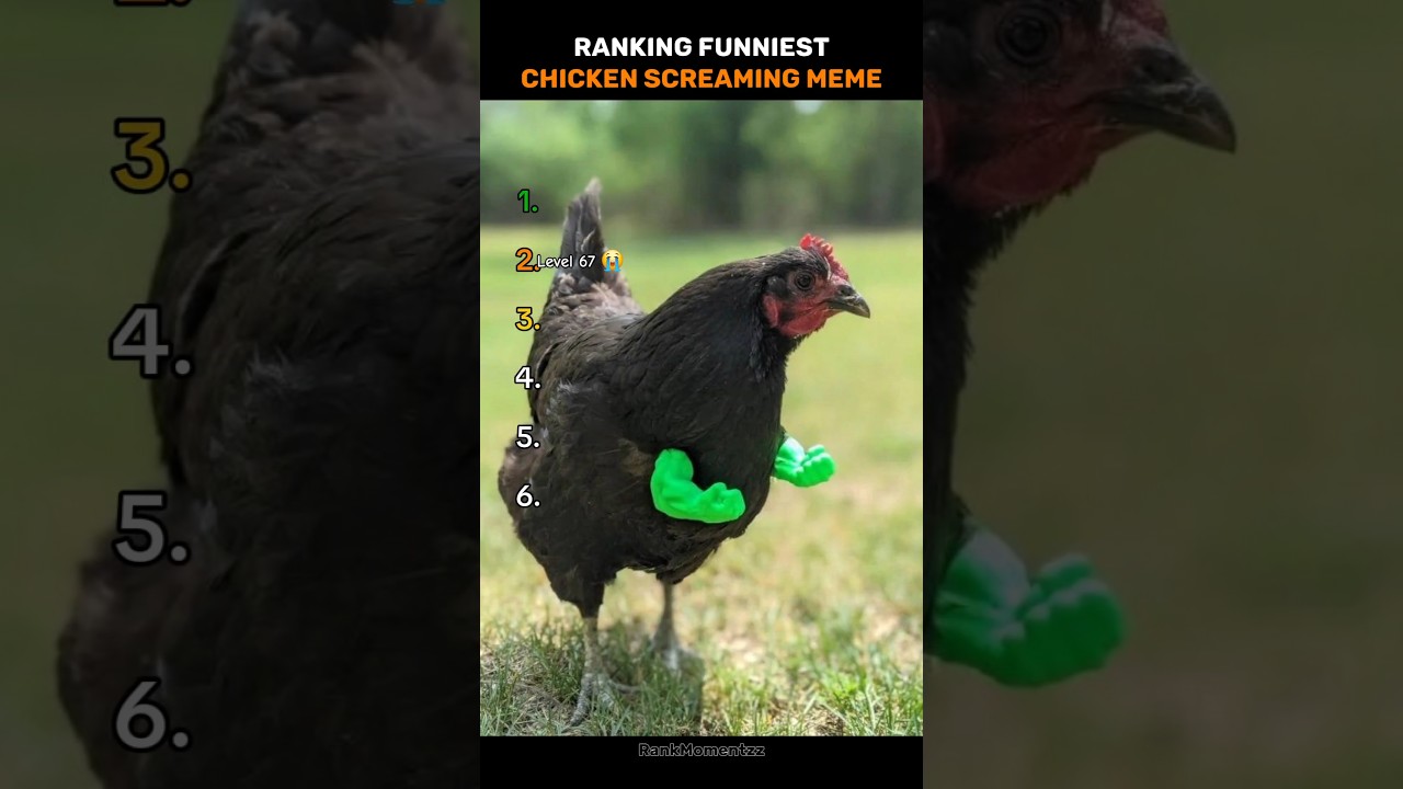 Funniest Chicken Screaming (Pt-28) 😭