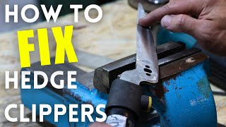 Taking Moms Hedge Trimmers to the Next Level of Sharpness with a Few Simple Steps