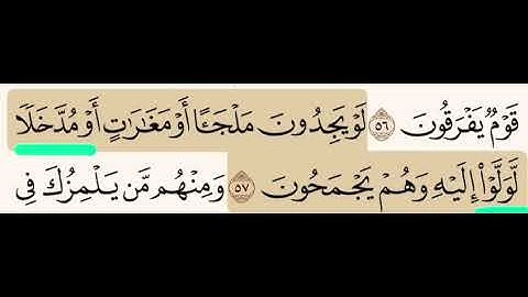 (٣٣) تصحيح التلاوة لما تحته خط-مُدََخلا (بضم الميم وفتح وتشديد الدال وليس مَدخَلا) - لوَلََوْا مشددة