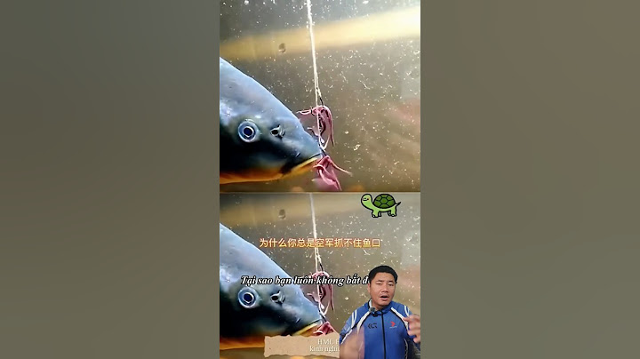 ตะขอเบ็ดสมัยใหม่ ติดลึกติดไว #ตกปลา #อุปกรณ์ตกปลา #fishing