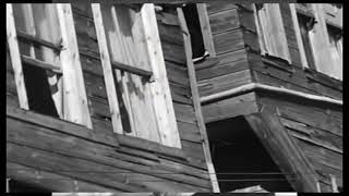 Hamiyet Yüceses - Sevmekten Kim Usanır