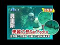 【貝里斯】瑪丹娜以歌讚頌的迷人海島 San Pedro（高爾夫球車環島／護士鯊／酒吧雞大便賭博）｜《世界第一等》151集小馬完整版