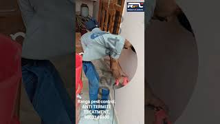lifetime termite treatment.. #pestcontrol #pestfreehome #shorts #youtubeshorts #rangapestcontrol