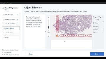 Loupe Browser 6 3 0 2022 12 22 11 43 23