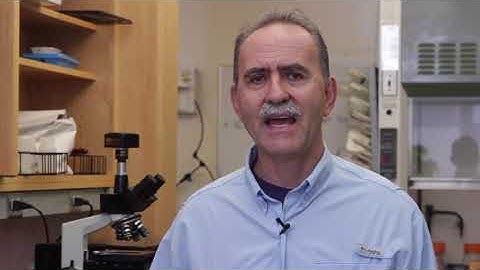 Haney Test: Understanding Soil Respiration (2/4)