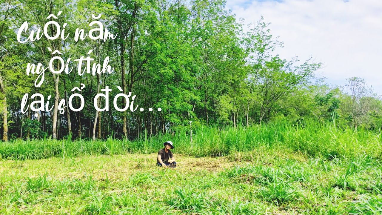 Hãy Quên Đi Muộn Phiền Năm Cũ - Chào Xuân Mới Mang Theo Niềm Tin Mới