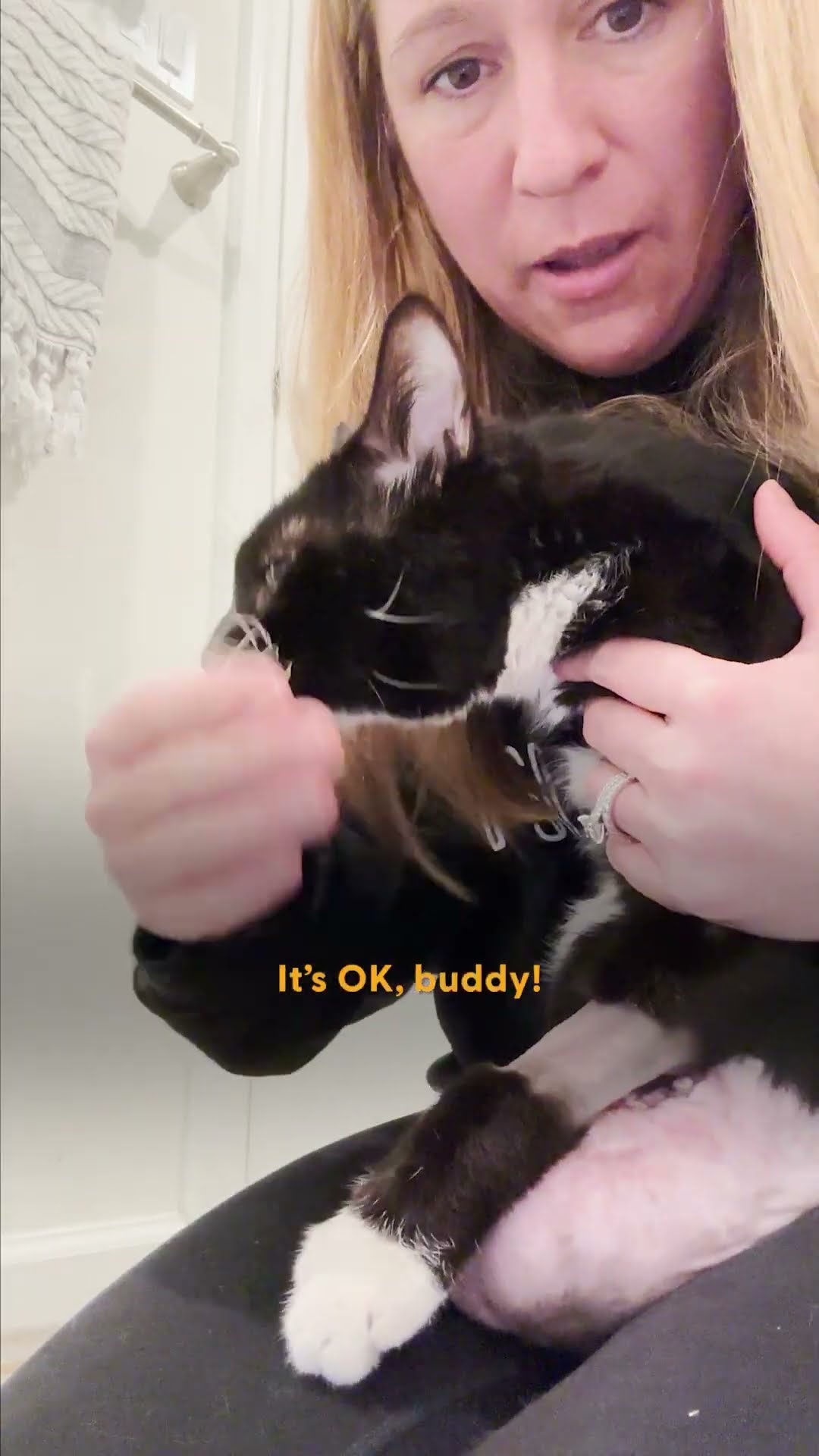 Two-Legged Cat Is Living His Best Life | The Dodo