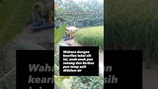 Contoh ide bisnis di desa