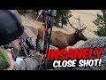 Elk shot at 3 yards unbelievable bowhunting action