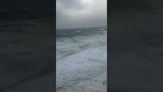 Download Lagu Exiles beach | #viral #shorts #foryou #trending #tiktok #viralvideo #reels #foryoupage #shortvideo MP3